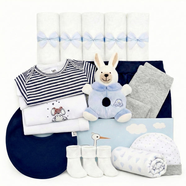 Deluxe Baby Box